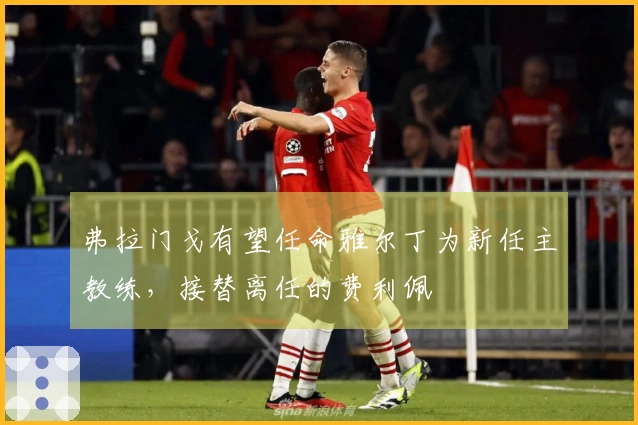 弗拉门戈有望任命雅尔丁为新任主教练，接替离任的费利佩