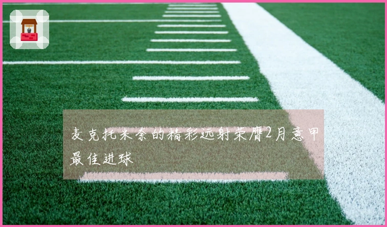 麦克托米奈的精彩远射荣膺2月意甲最佳进球