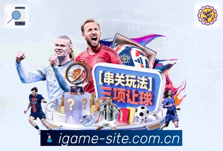 <strong>爱游戏</strong>隐私保护机制